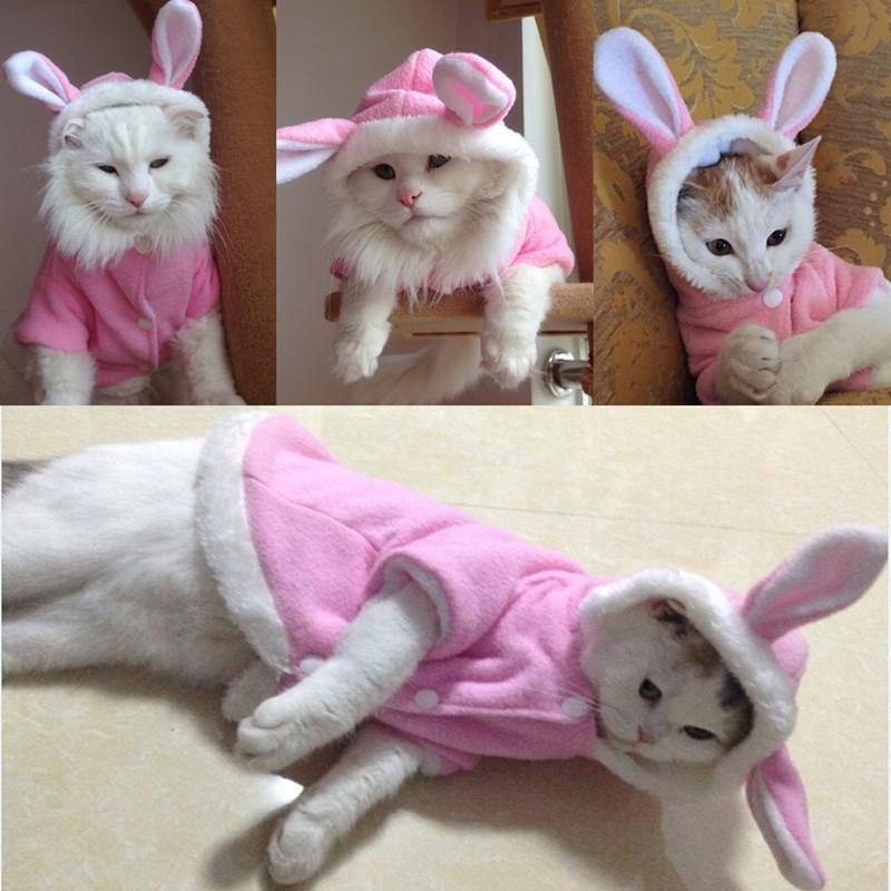 Cat Bunny Costume Robe Clothing