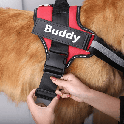 Strap'n'walk Custom Dog Harness