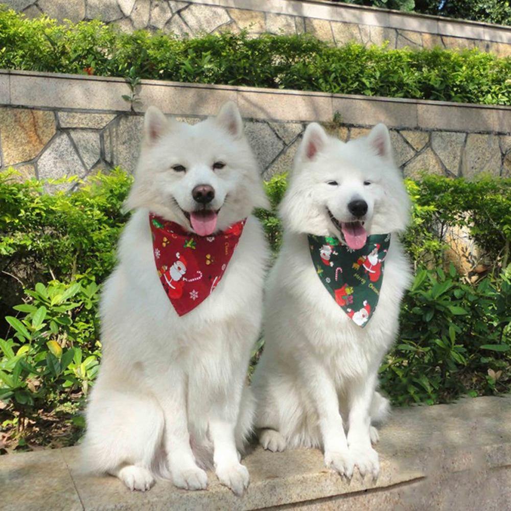 My Christmas Bandanas