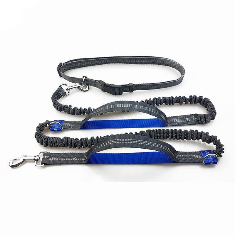 Running Waist Leash