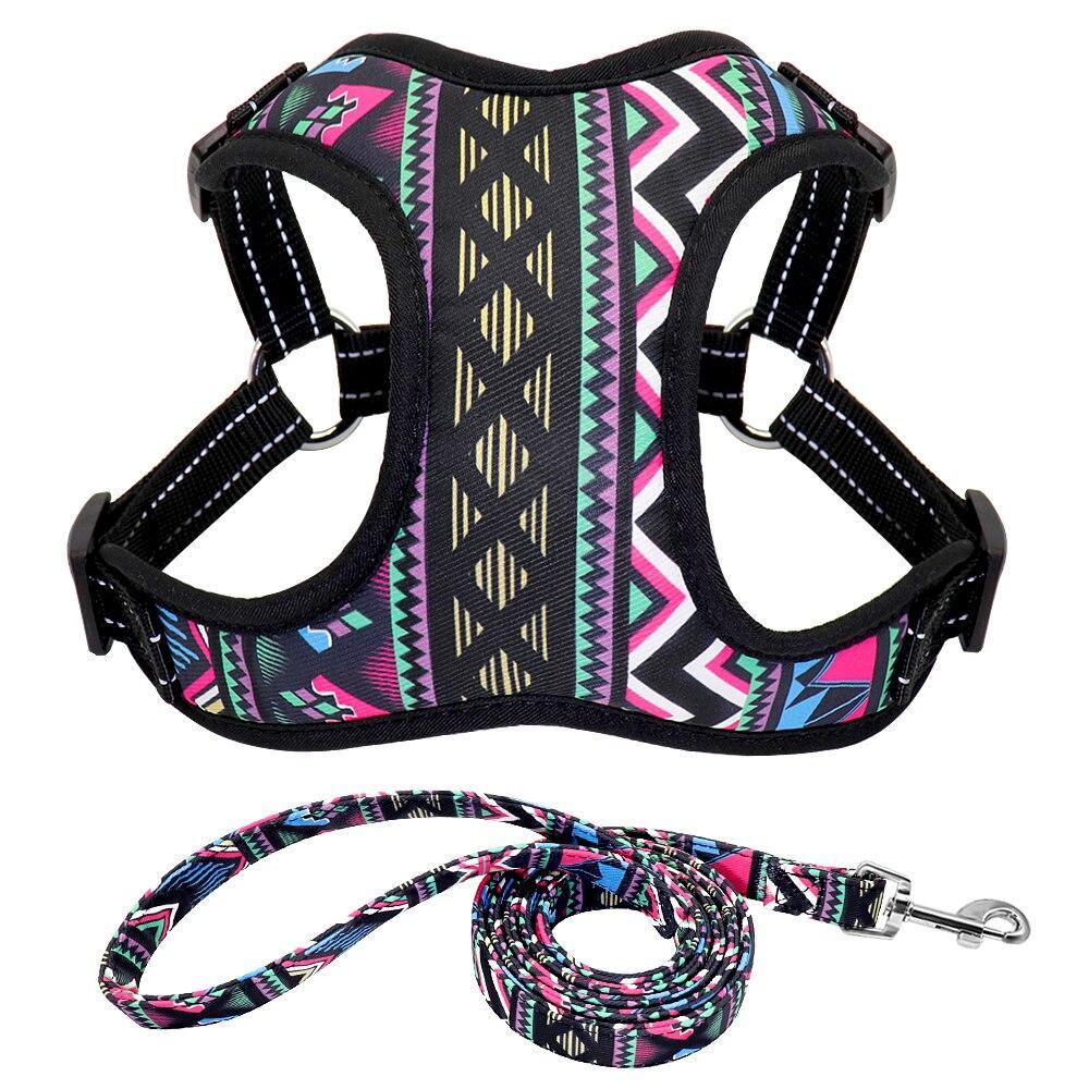 Flower Nylon Harness And Leash