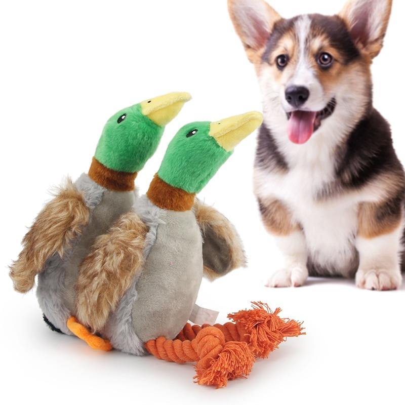 Duck Squeak Dog Rope Toy