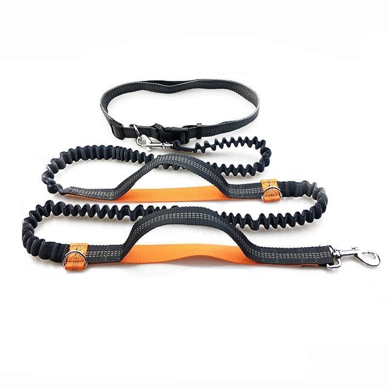 Running Waist Leash