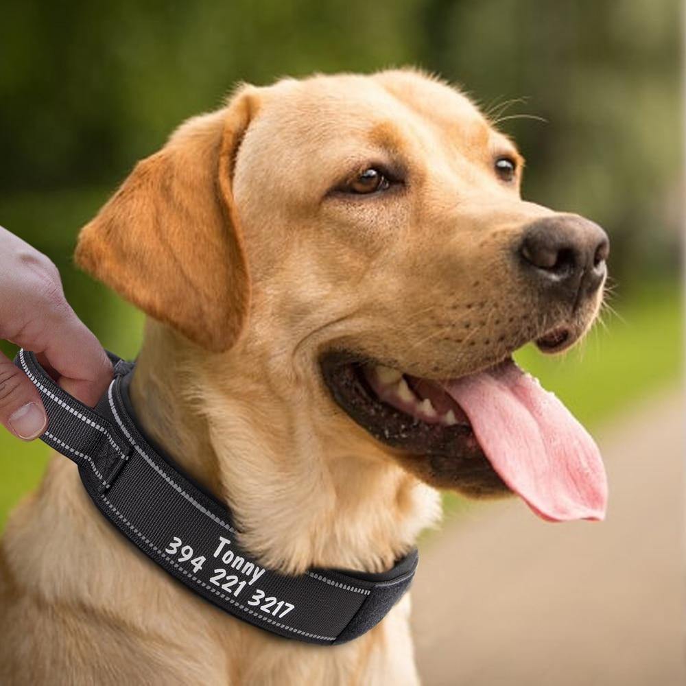 Custom Military Tactical Dog Collar