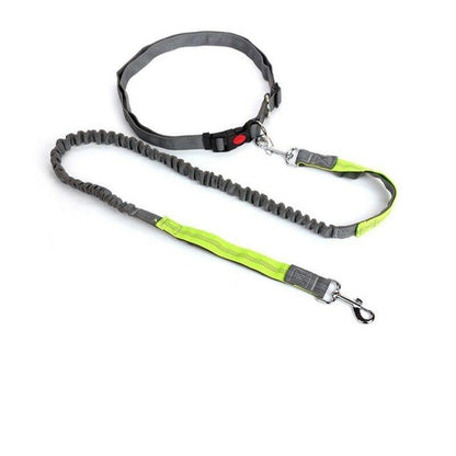 Elastic Breakaway Hand Free Waist Leash