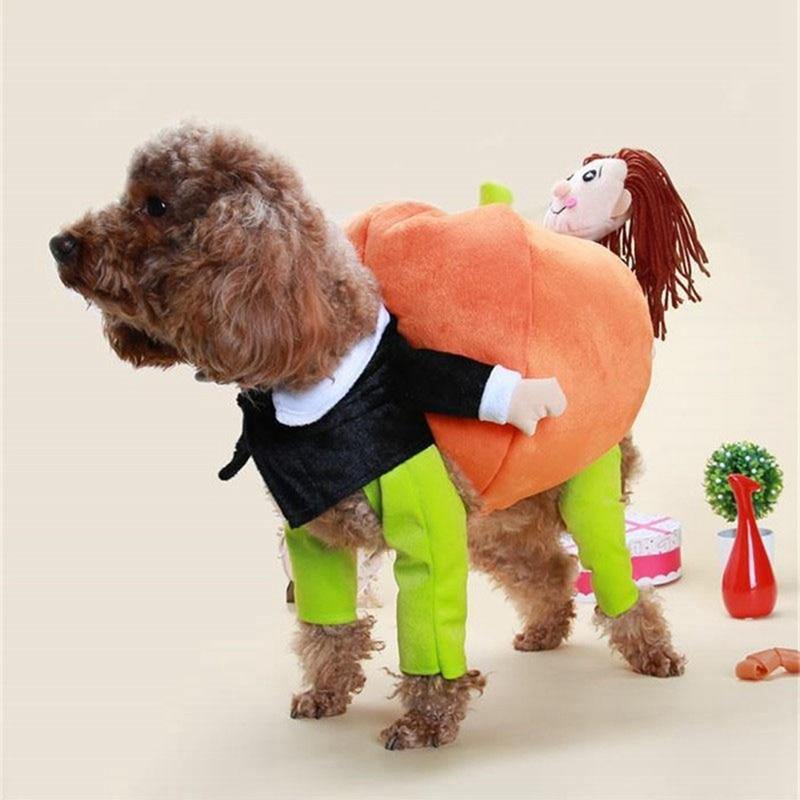 Funny Dog Pumpkin Costume