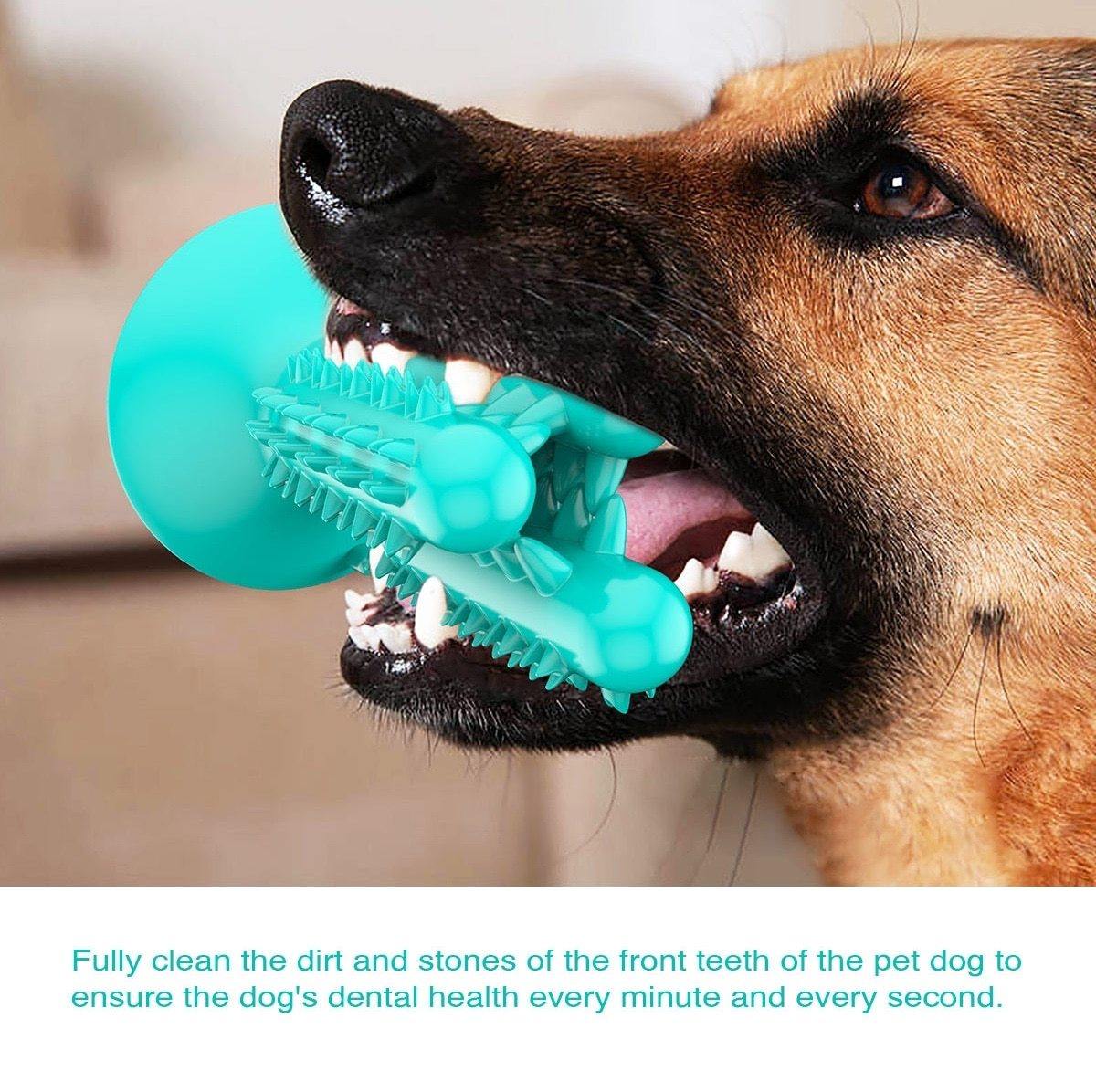 Dog Molar Cleaning Toothbrush