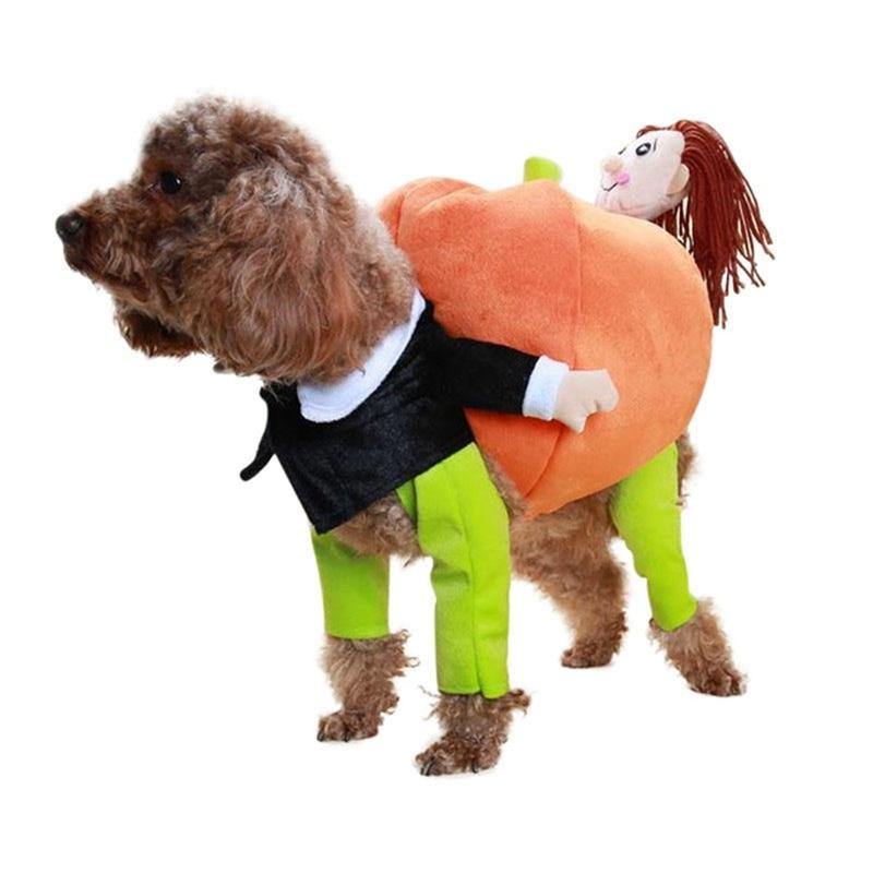 Funny Dog Pumpkin Costume