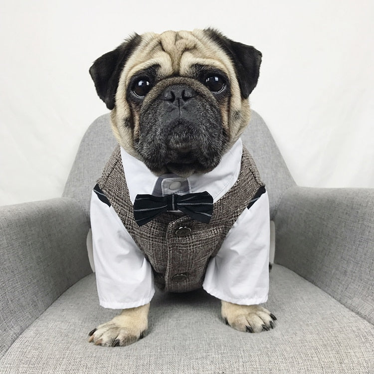 Dog Wedding Party Suit Tuxedo Coat Costume
