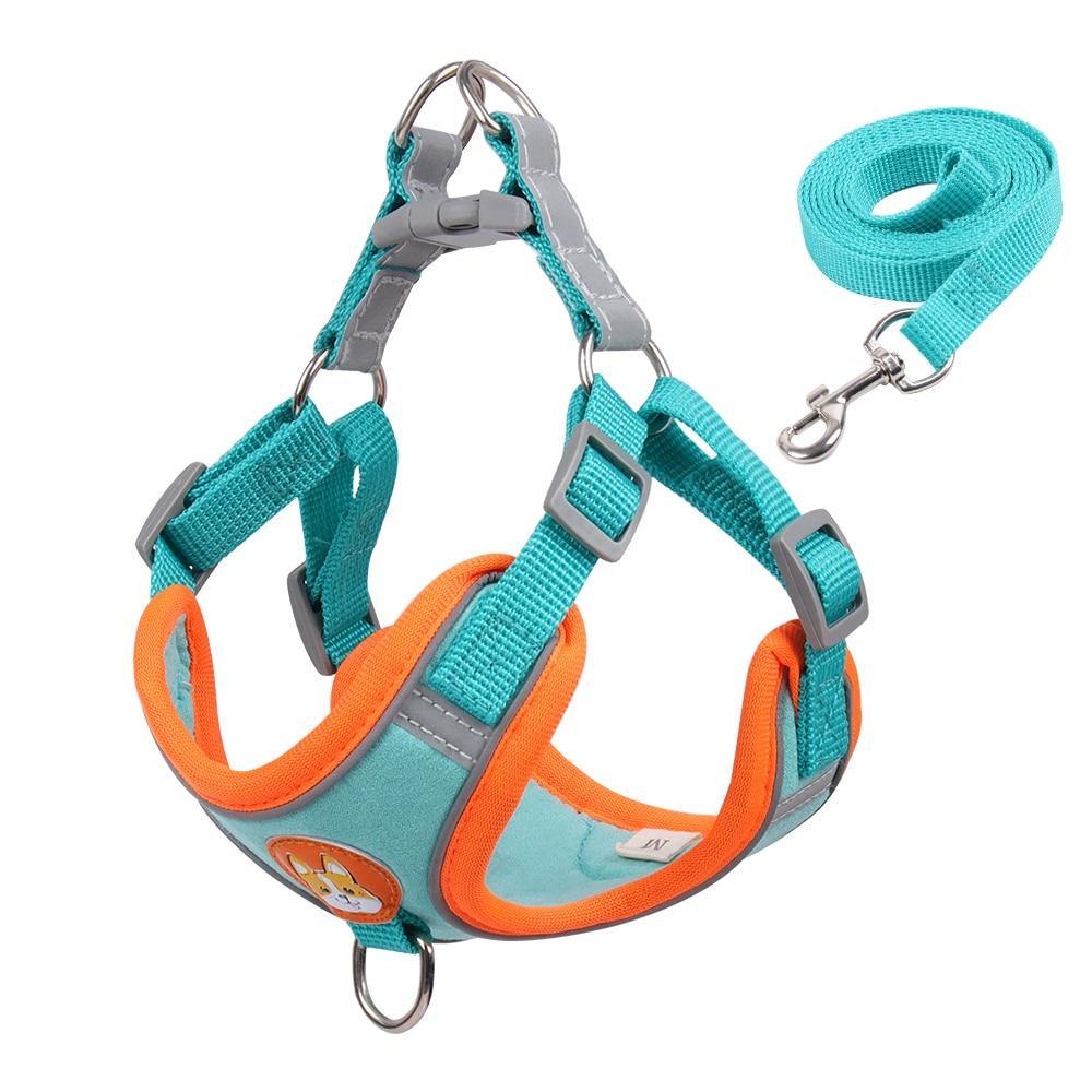 Reflective Terrier Dog Harness and Leash Set