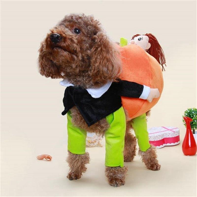 Funny Dog Pumpkin Costume