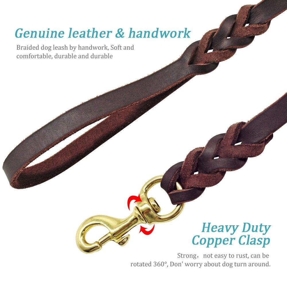 Leather Braided Dog Leash