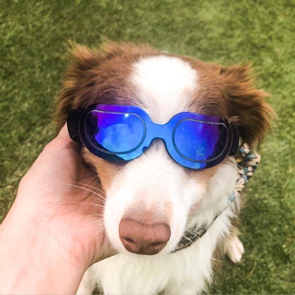 Dog adjustable Sunglasses Outdoor Goggles
