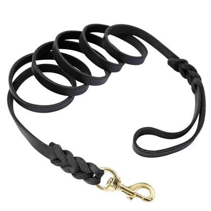 Leather Braided Dog Leash