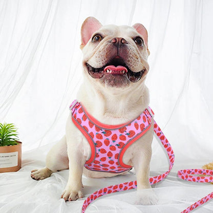 CandiFuity Fashion Dog Harness and Leash Set