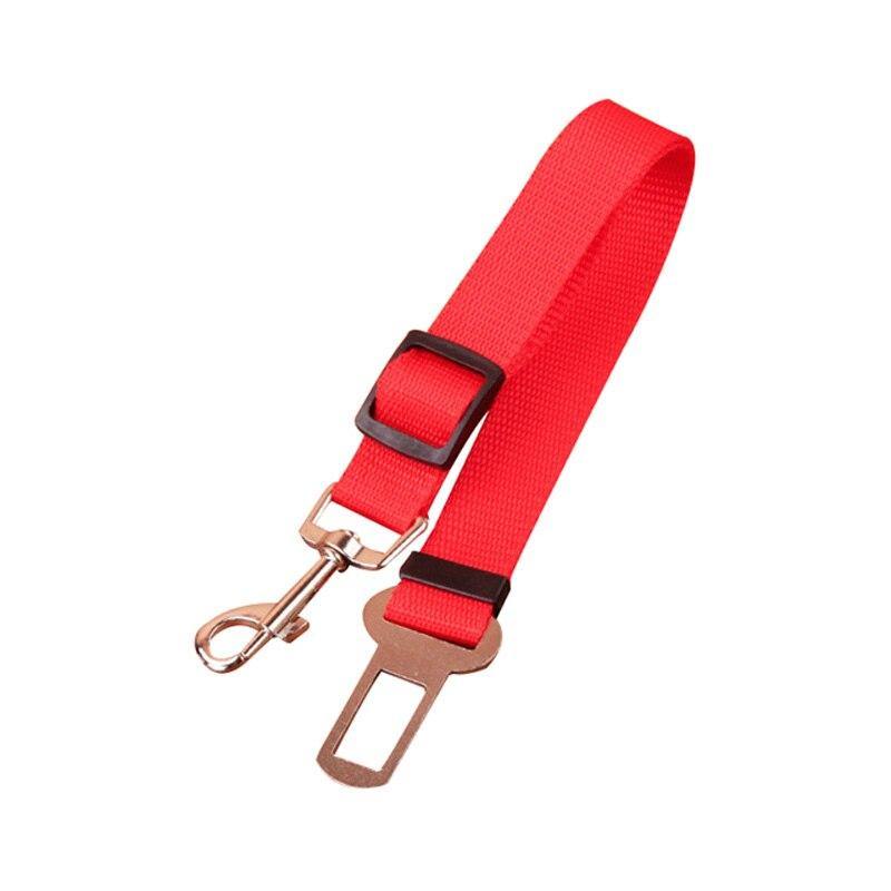 Harness Seatbelt Leash