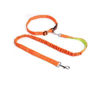 Elastic Breakaway Hand Free Waist Leash