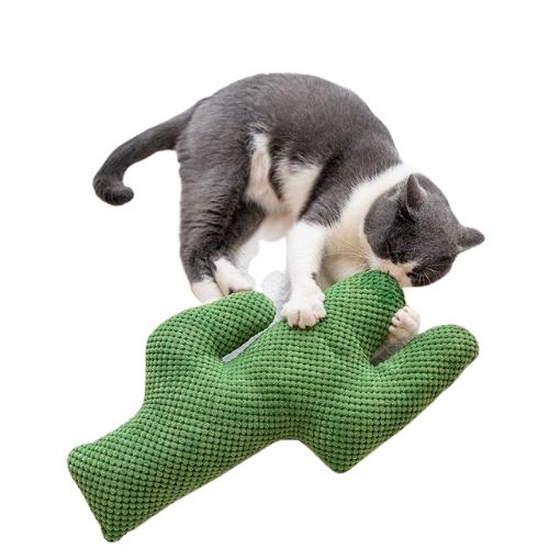 Cactus Catnip Cat Toy Pet Plush Chew Teeth Toy