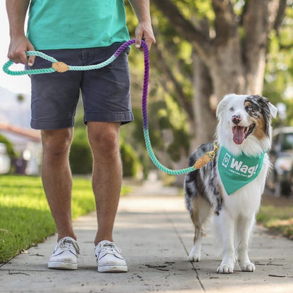 Nautical Leash