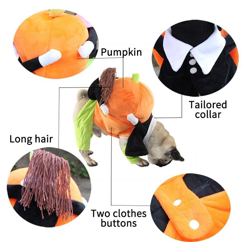 Cute Halloween Cat Funny Pumpkin Pet Costume