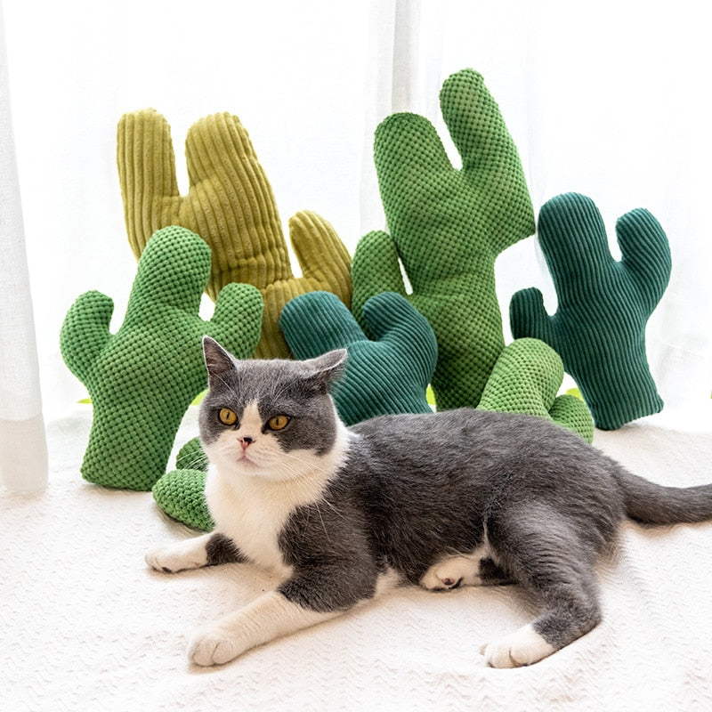 Cactus Catnip Cat Toy Pet Plush Chew Teeth Toy