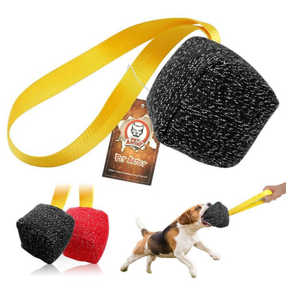 Training Interactive Agility Dog Chewing Training Ball
