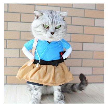 Funny Angry Teacher Cat Costume