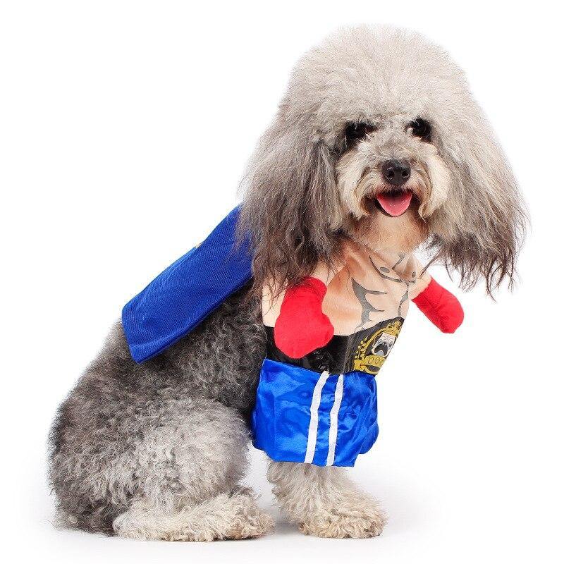 Funny Dog Boxer Costume