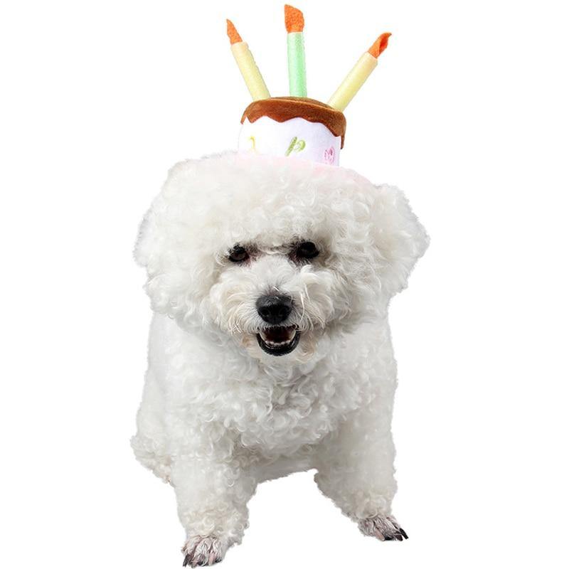 Dog Birthday Candle Hats