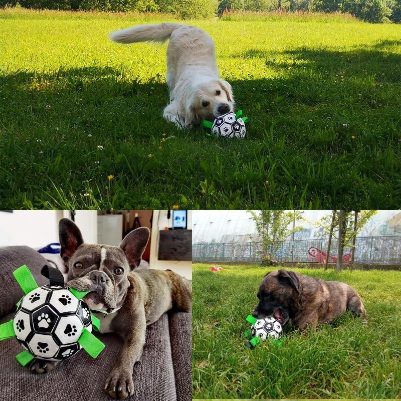 Dog Outdoor Interactive Soccer Chew Ball Bite Toy