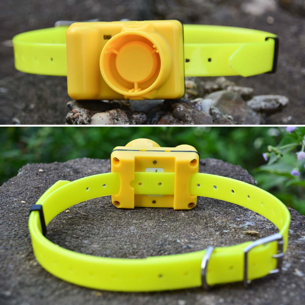 Rechargeable Hunting Waterproof Dog Beeper Collar