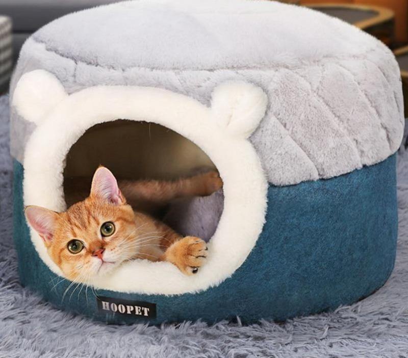 Novelty Cat Nest House