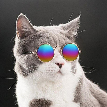 Cat Hippie Sunglasses