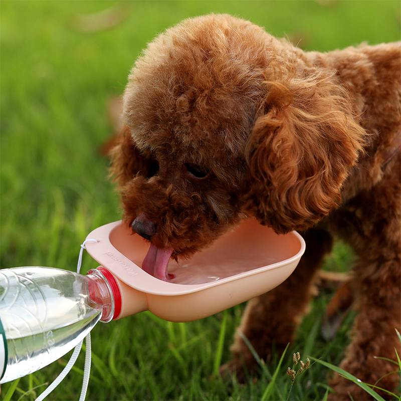 Clip On Plastic Bottle Dog Drinking Feeder Bowl