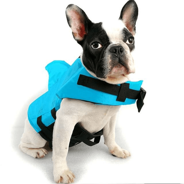 SharkPal- Pets Life Jacket