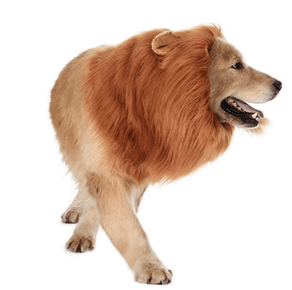 Lion Mane Dog Cat Wig Hat Costume